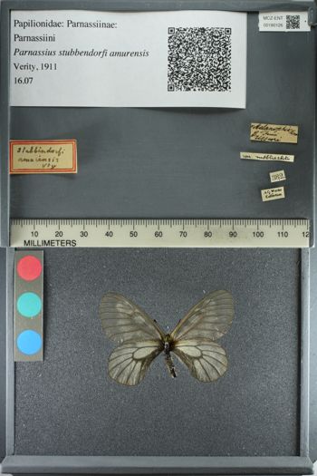 Media type: image;   Entomology 180126